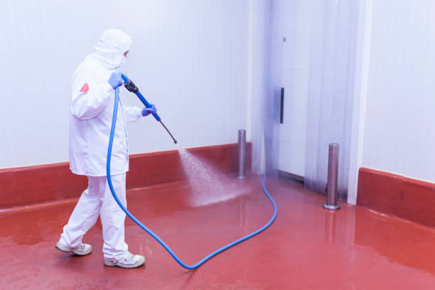 Best Building Exterior Pressure Washing in Upper Ack, NY